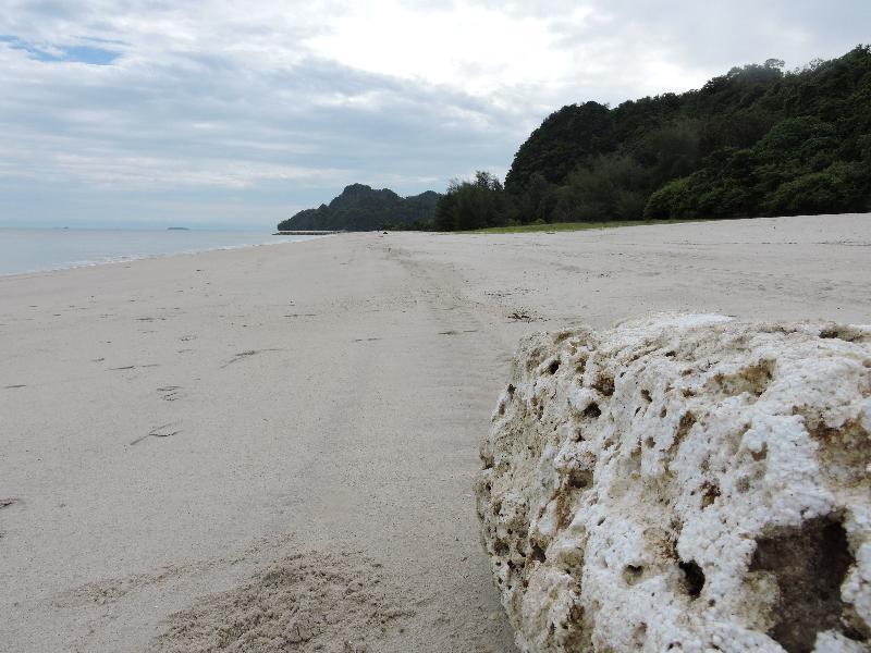 Lone Pine, Penang, A Tribute Portfolio Resort Batu Ferringhi Exterior foto